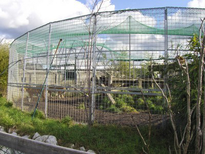 Ein großes Freigehege mit grünen Netzen und Metallzäunen in einem Zoo oder Park.