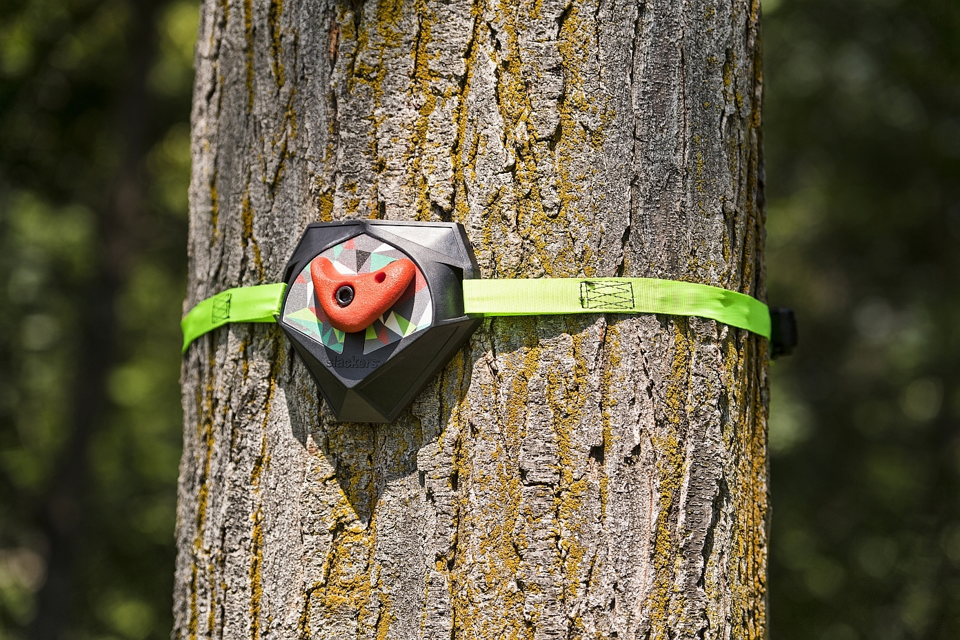 Ein orangefarbener Klettergriff ist an einem Baum mit einem grünen Sicherheitsgurt befestigt, ideal für Kletterübungen im Freien.
