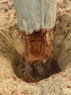 Gros plan sur un poteau en bois pourri, partiellement enterré dans le sable