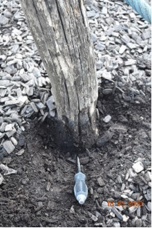 Un poteau en bois est planté dans le sol, entouré de paillis. Un tournevis est posé sur le sol à côté du poteau.