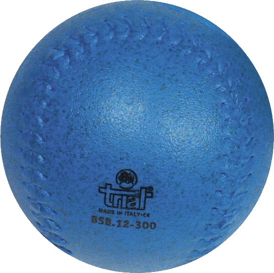 Ein blauer Trainingsball, perfekt für Sportübungen und Spiele