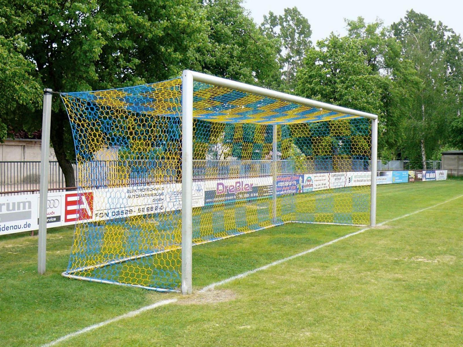 Ein Fußballtor mit einem Netz in Gelb und Blau auf einem gepflegten Rasenplatz im Freien, umgeben von Bäumen.